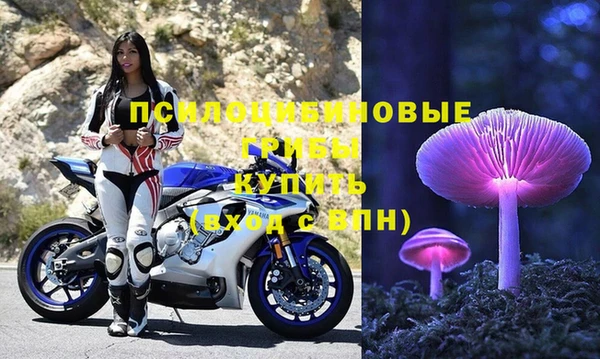 первитин Инсар