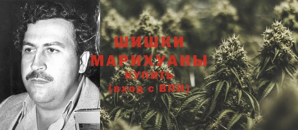первитин Инсар