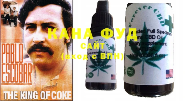 первитин Инсар